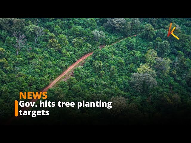 ⁣National tree cover surpasses the 10% target, government sets new target of 30%