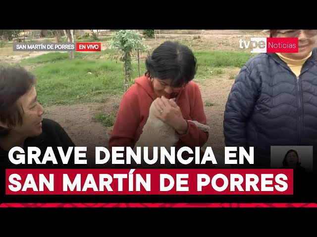 ⁣SMP: vecinos denuncian que desconocidos matan gatos abandonados en parque del distrito