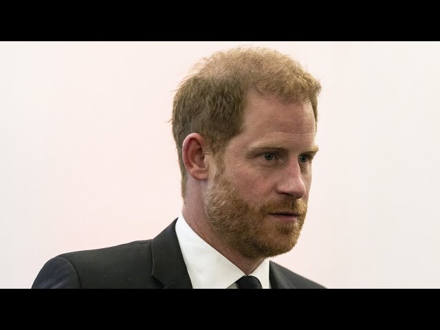 ⁣‘White noise’: Critics lash Prince Harry’s NATO speech