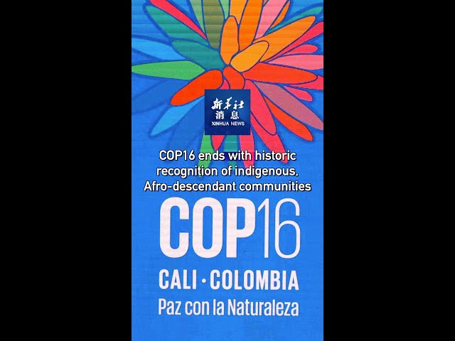 ⁣Xinhua News | COP16 ends with historic recognition of indigenous, Afro-descendant communities