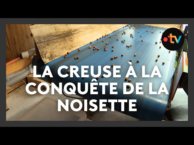 ⁣Agriculture. La noisette,  filière d'avenir pour les nuciculteurs de la Creuse