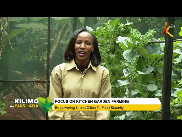 ⁣K24 TV LIVE| FOCUS ON KITCHEN GARDEN MAKING. #Kilimonabiashara