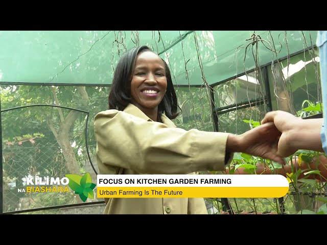 ⁣Focus On Kitchen Garden Farming  | Kilimo na Biashara