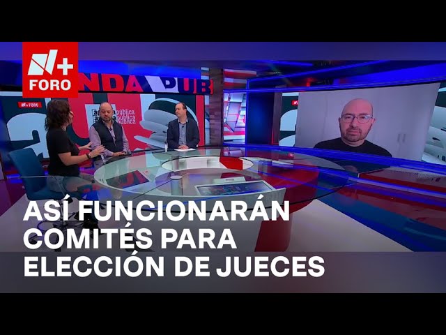 ⁣¿Cómo funcionarán los comités para la elección de jueces? - Agenda Pública