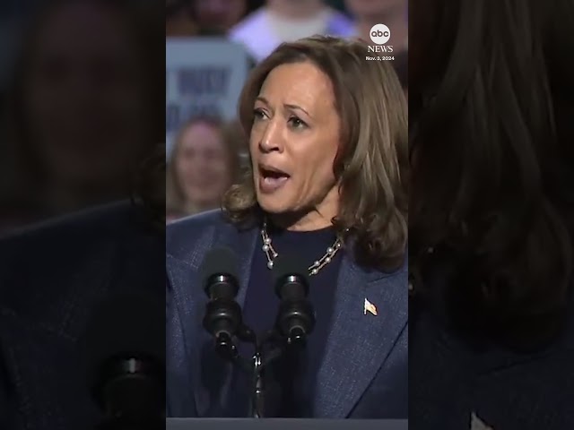 ⁣Harris begins Michigan rally speech by addressing war in Gaza