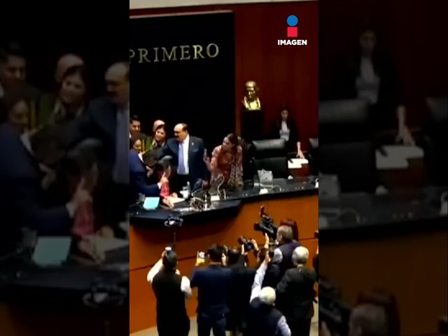 ⁣"Alito" Moreno y Gerardo Fernández Noroña chocan en el Senado | Shorts | Zea