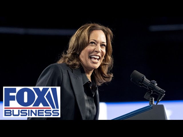 ⁣Kamala Harris campaigns in battleground Michigan