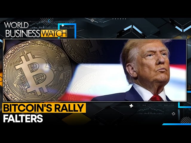 ⁣Bitcoin's Rally Stumbles As Trump Election Odds Dip | World Business Watch | WION