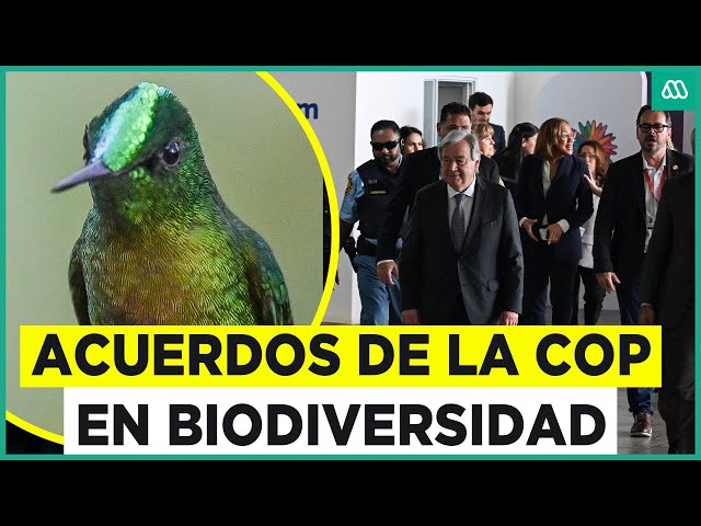 ⁣Cumbre clave en la lucha contra el cambio climático: Las decisión en la Cop de Biodiversidad