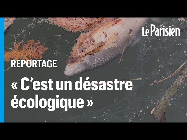 ⁣Pêcheurs, écologistes… ils veulent tous la vérité sur la pollution du canal de Loing