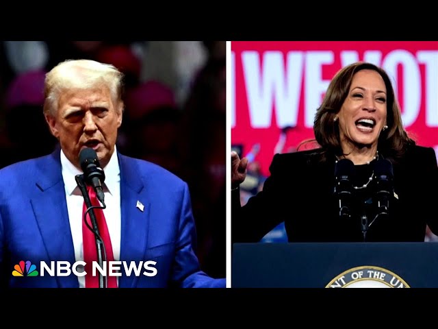 ⁣Trump and Harris campaigns lock in plans for Election Day