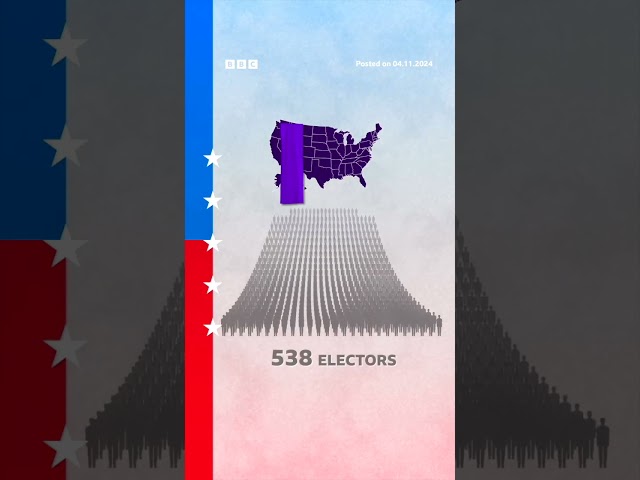 ⁣The candidate with the most votes won’t necessarily win the election. #USElection #BBCNews