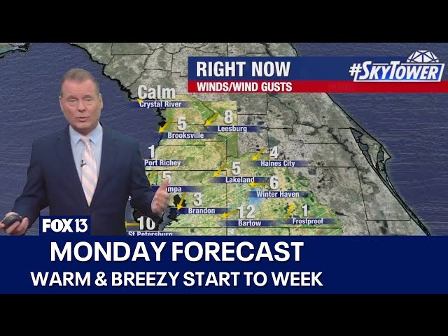 ⁣Tampa weather | Warm & breezy start to week