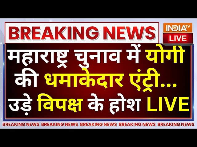 ⁣Yogi Adityanath Speech in Maharashtra LIVE: महाराष्ट्र चुनाव में योगी की एंट्री...उड़े विपक्ष के होश!