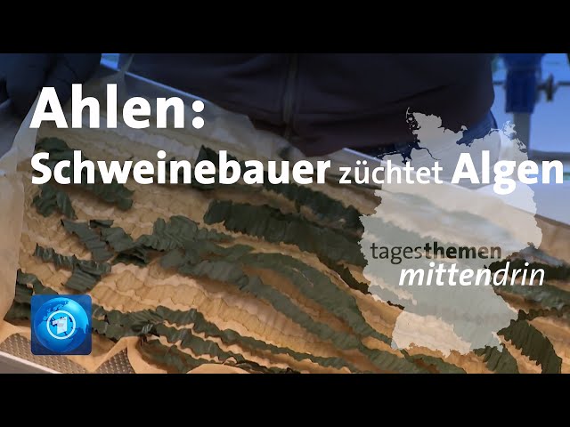 ⁣Ahlen: Schweinebauer züchtet Algen | tagesthemen mittendrin