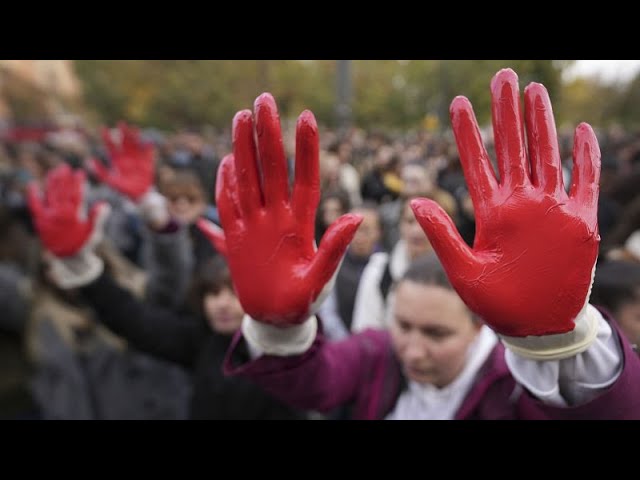 ⁣En Serbie, des manifestants demandent justice après l'effondrement d'un toit de gare qui a