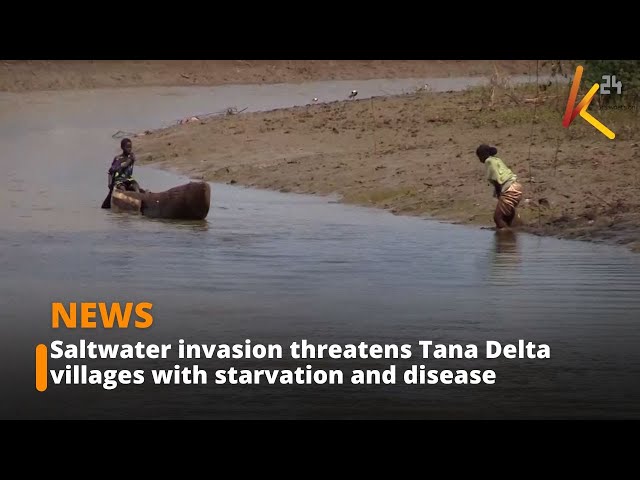 ⁣Sea water infiltration threatens Tana Delta villages with starvation and disease