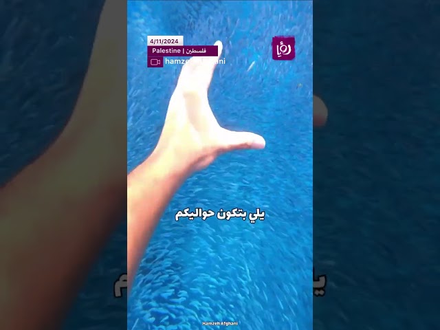 ⁣جنة على الارض