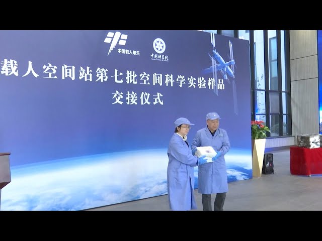 ⁣Space science experiment samples carried by Shenzhou-18 delivered to scientists