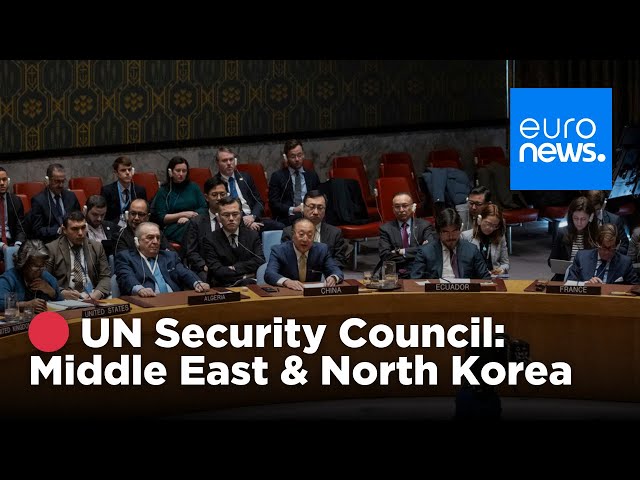 ⁣ LIVE: UN Security Council Stakeout and North Korea meeting | euronews 