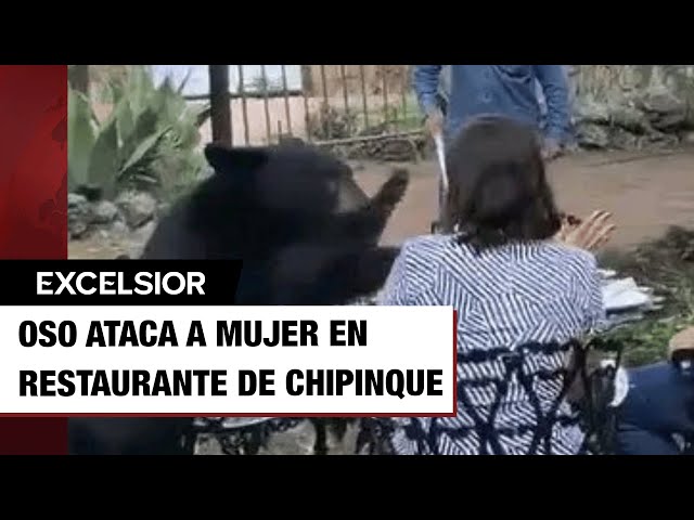 ⁣Oso ataca a mujer en restaurante de Nuevo León