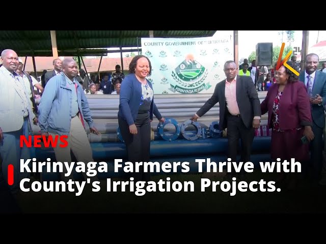 ⁣Kirinyaga Farmers Reap Big From County Government’s Irrigation Projects.