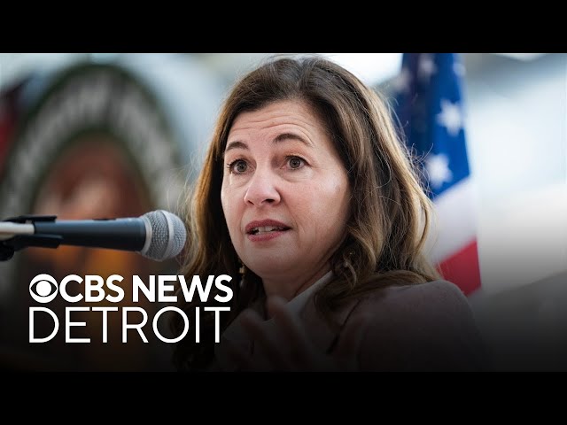 ⁣Democratic candidate Kristen McDonald Rivet on congressional race for Michigan's 8th District