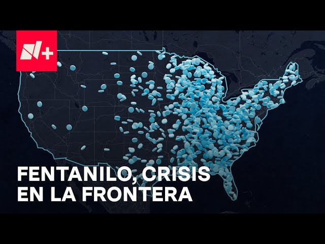 ⁣Tráfico de fentanilo, una crisis de salud - Elecciones EUA