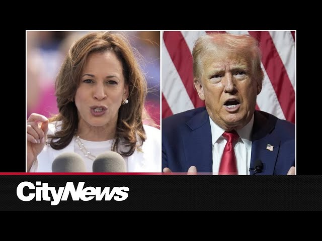 ⁣Harris makes final push as Trump fumes over Iowa polling