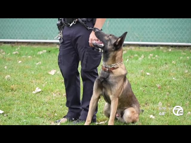 ⁣Oak Park to swear in new explosive detection K-9 officer