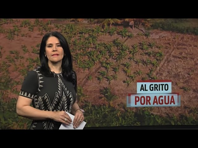 ⁣#ElInforme con Alicia Ortega: Al grito por agua (1/2)