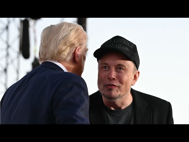 ⁣Elon Musk rips Democratic party for spreading ‘hoaxes’ about Donald Trump