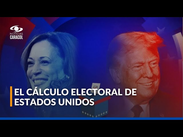 ⁣Los números clave para entender las elecciones presidenciales en Estados Unidos