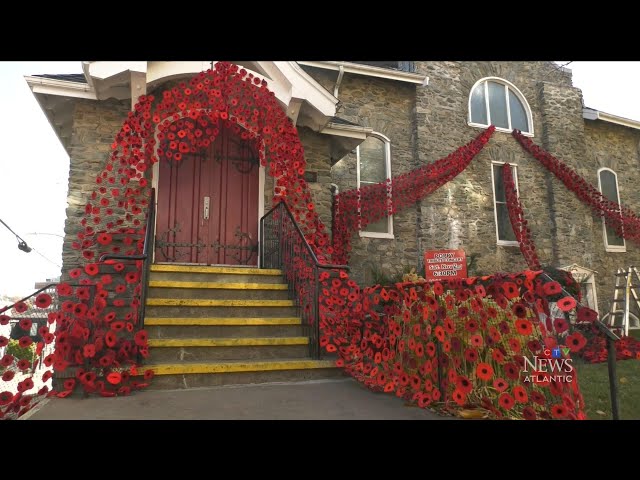 ⁣10,000 hand-knit poppies on display at Dartmouth cenotaph