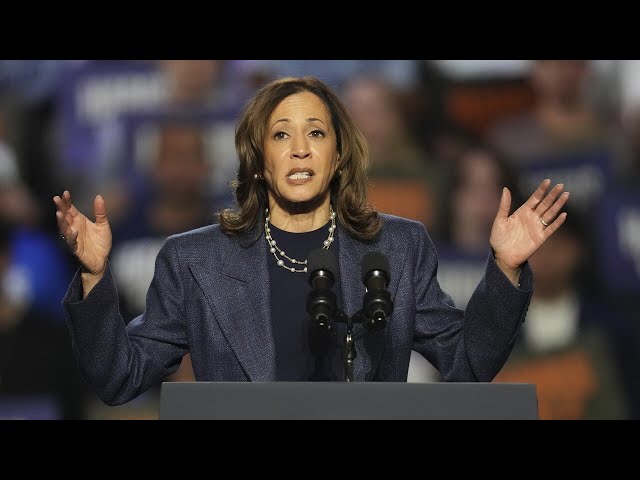 ⁣Democrats exposed for ‘shaming’ men who refuse to vote for Kamala Harris