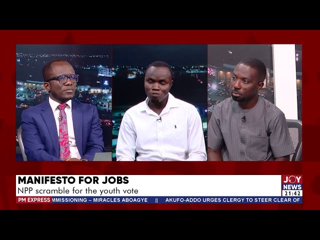 ⁣Manifesto for Jobs: NPP scramble for the youth vote | PM Express with Evans Mensah (4-11-24)