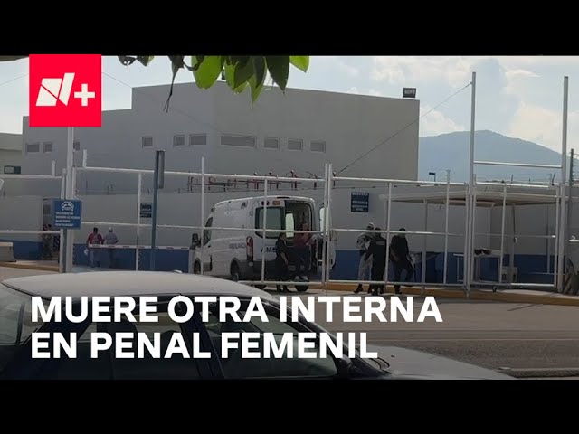 ⁣Reportan nueva muerte de interna en penal femenil; el quinto caso del año  - En Punto