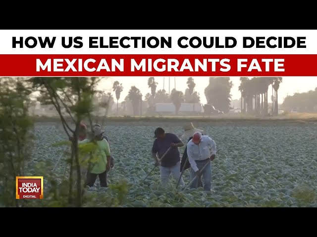 ⁣Migrants In Mexico Hold Their Breath During US Election As They Fear Mass Deportations