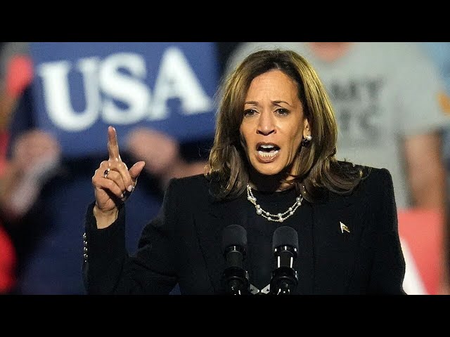 ⁣‘She hasn’t given them a reason’: Kamala Harris yet to ‘close the deal’ with voters