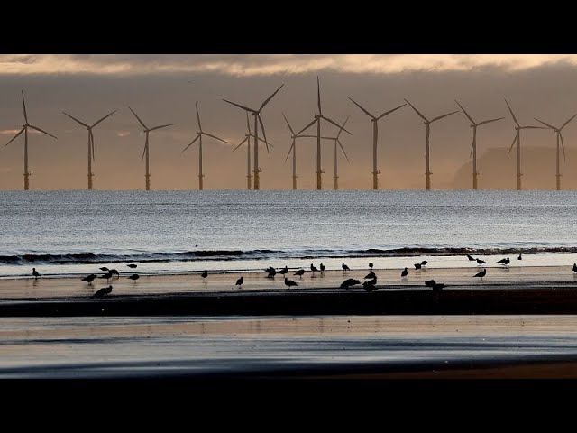 ⁣En Suède, le gouvernement retoque 13 projets de parcs éoliens offshore