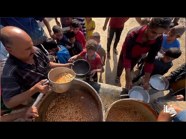 ⁣No Comment : à Gaza, la famine menace