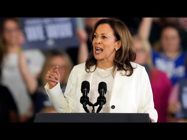 ⁣‘Copy and paste’: Kamala Harris slammed over ‘scripted’ rally speeches