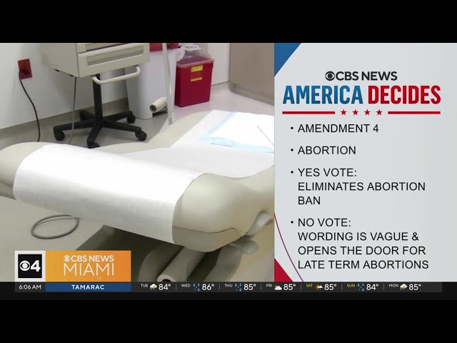 ⁣Florida voters to decide abortion, marijuana amendment proposals