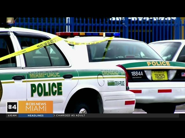 ⁣Miami-Dade voters to decide on sheriff for first time in over 50 years