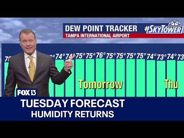 ⁣Tampa weather | Humidity returns