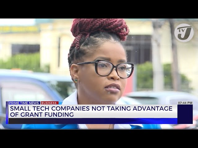 ⁣Small Tech companies not Taking Advantage of Grant Funding | TVJ Business Day