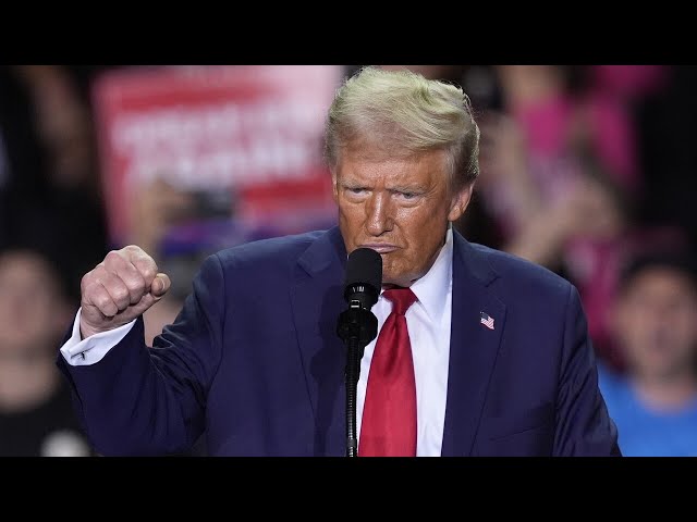 ⁣Donald Trump predicted to ‘absolutely dominate’ the male vote