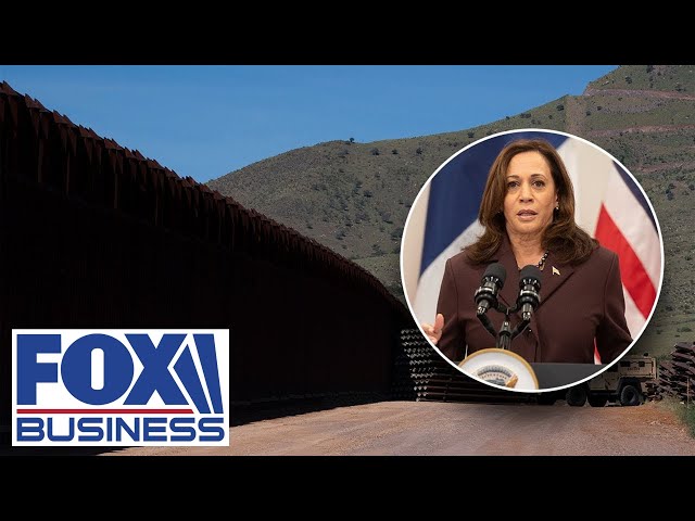 ⁣Trump will 'fix' the border that Harris broke, says GOP senator