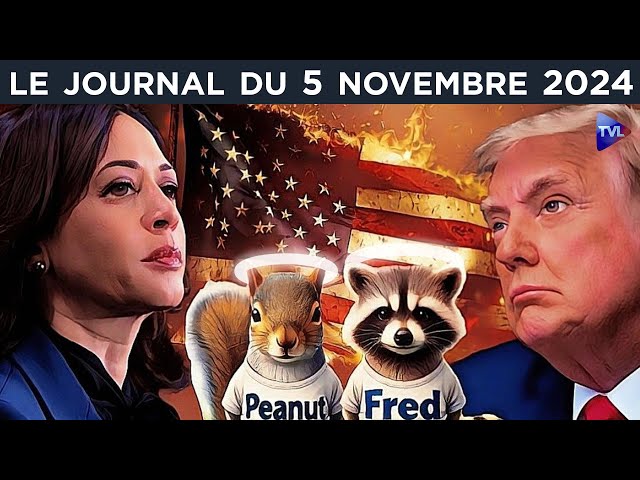 ⁣Trump/Harris : la dernière chance des Etats-Unis - JT du mardi 5 novembre 2024