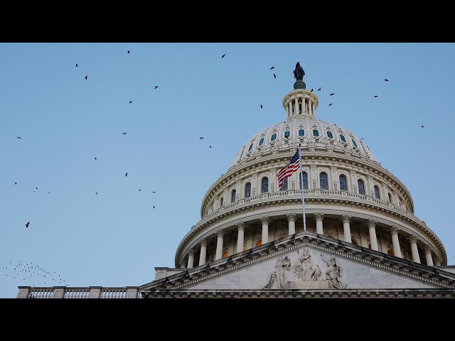 ⁣Breaking down the Senate and House races that could shift power for Congress